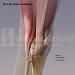 kolano biegacza - pasmo biodrowo-piszczelowe